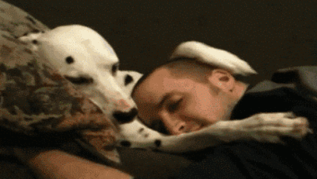 zagrljaj zivotinja i ljudi gif